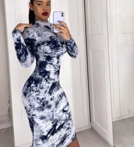 Printed stand collar long sleeve hip dress