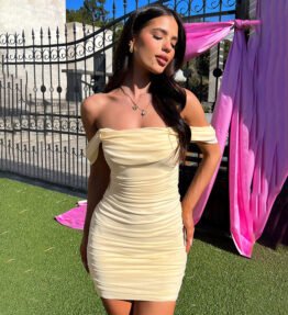 Ruched Mesh Spliced Off-the-Shoulder Dress